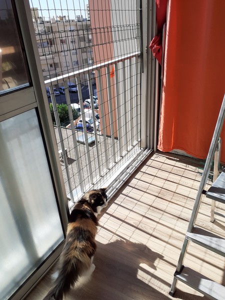 Pose de filet de protection pour chat balcon Salon de Provence 13300 -  Combattre les nuisibles, dépigeonnage Marseille - Provence Nuisibles